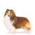 Shetland Sheepdog